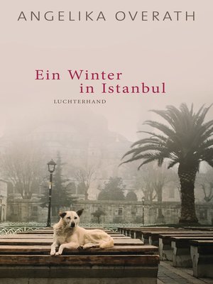 cover image of Ein Winter in Istanbul